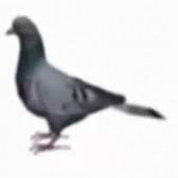 ピーキーピーキーピーク VIP